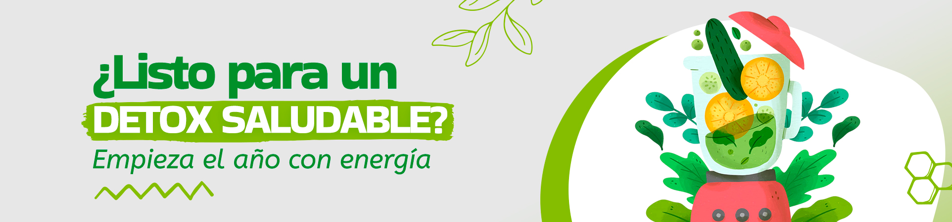 1924x450 Detox saludable empieza el año con energia